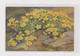 HALLER A. Flowers Mice Postcard - Haller, A.