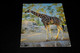 37856-                            AFBEELDING VAN GIRAFFE - Jirafas