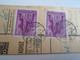 D187443   Parcel Card  (cut) Hungary 1941  Szombathely -Tüskevár - Paketmarken