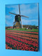 Publikaart B.V. DELTA > Lisse ( Molen / Mill / Moulin ) > ( Spanjersberg ) Anno 1983 ( Zie > Scans ) ! - Lisse