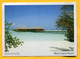 MALDIVES - Meeru Island - Franked Stamp Turtle , Tortue 2015 - Maldive