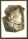 Italy 1983 Forlì - Chess Cancel On Postcard - Echecs