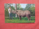 Zoo Keeper NY Zoo. Two Horned African  Rhinoceros   Ref  5404 - Rhinocéros