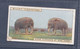 Wonders Of The Past 1926 - Original Wills Cigarette Card - 25 Stone Elephants At Ming Tomb, Nanking - Wills