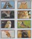 USA BIRDS OWL SET OF 16 CARDS - Uilen