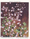 37 Meadow Rue  - Garden Flowers New Varieties 2nd 1938 - Original Wills Cigarette Card - L Size 6x8 Cm - Wills