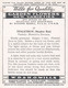 37 Meadow Rue  - Garden Flowers New Varieties 2nd 1938 - Original Wills Cigarette Card - L Size 6x8 Cm - Wills