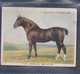 Types Of Horses 1939 - 15 Norfolk Roadster  - Original Players Cigarette Card - L Size 6x8cm - Phillips / BDV