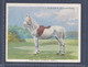 Types Of Horses 1939 - 25 New Forest Pony  - Original Players Cigarette Card - L Size 6x8cm - Phillips / BDV