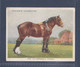Types Of Horses 1939 - 5 Clydesdale  - Original Players Cigarette Card - L Size 6x8cm - Phillips / BDV