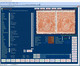 Delcampe - Stamp Collectors Image Database Software Pro 2016 - English
