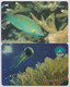 Singapore Old Phonecards Singtel Fish Jellyfish Used 2 Cards - Poissons
