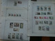Gros Lot De Feuilles D'album Des Colonies Françaises Voir Scans - Collections