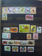 Delcampe - Various Countries A.o Austria(till 2009),Topics,birds,thematics In 3 Stokbooks+album Pages - Verzamelingen (in Albums)