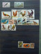 Delcampe - Various Countries A.o Austria(till 2009),Topics,birds,thematics In 3 Stokbooks+album Pages - Verzamelingen (in Albums)