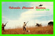 HASTINGS, NE - NEBRASKA PHEASANT HUNTERS - TRAVEL IN 1968 - - Hastings