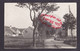 #S2361 - Carte Photo - RPPC - GLOBSOW ? - " Hauser's Zuchtvieh Stallung " - Allemagne - Neuglobsow