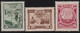 Russia   .  Michel    .  302/304-C  (2 Scans)   (1925)    .   *    .    Mint-hinged    .   /  .   Ungebraucht Mit Gummi - Unused Stamps