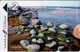 LATVIA Lettland , Lettonia  The Baltic Sea - 2 Lats -  Phone Card - Lettonia