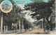 1900/1910 - Nuuanu Avenue  HONOLULU , Gute Zustand, 2 Scan - Honolulu