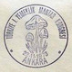 Turkey 1976 Edible Mushrooms Congress | Special Cover, Nov 23 - Cartas & Documentos