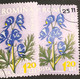 Stamps Errors Romania 1959  Mi 1819 Printed Double White Leaf Flower Used - Errors, Freaks & Oddities (EFO)