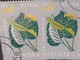 Errors Romania 1959  Mi 1821 Printed Double White Errors Flower Used - Variétés Et Curiosités