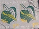 Errors Romania 1959  Mi 1821 Printed Double White Errors Flower Used - Abarten Und Kuriositäten