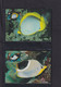 1997  Mikronesien WWF  "Gauklerfische Mikronesiens"  Komplettes Kapitel - Collections, Lots & Series