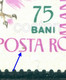 1967 Western Osprey/Pandion Haliaetus,fish Hawk,sea Hawk,Birds Of Prey,Romania,2572,variety ERROR,VFU - Abarten Und Kuriositäten