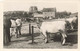 HERBIGNAC -   Champ De Foire - Marché Aux Boeufs - Herbignac