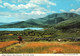 Adrigole Harbour, Beara Peninsula, West Cork, Ireland - John Hinde Ltd - Uncirculated Card - Cork