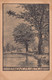 03468 "PIANTA FAGUS SILVATICA - N.R. 1923 - 3001 - FAGGIO"  PAESAGGIO. CART NON SPED - Arbres