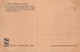 03468 "PIANTA FAGUS SILVATICA - N.R. 1923 - 3001 - FAGGIO"  PAESAGGIO. CART NON SPED - Alberi