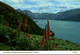 ECOSSE LOCH DUICH LOOKING TOWARDS THE MOUNTAINS OF KINTAIL - Ross & Cromarty