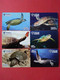 Tortues Turtle Série Complète De 6 Cartes Sur 6 Neuve China Telecom ((AA0621 - Schildpadden