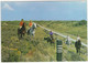 Groeten Van Het Eiland Ameland - (Wadden, Nederland / Holland - L 90 - Ruiters, Paarden, Duinen - Ameland