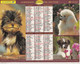 Almanach Du Facteur, Calendrier De La Poste, 2000 : Côte D'Or, Chatons Et Chiots, Chiens. - Grand Format : 1991-00