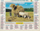 Almanach Du Facteur, Calendrier De La Poste, 1996 : Côte D'Or, L'Aubade Du Berger, Récolte Du Foin De Pré. - Grand Format : 1991-00