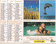 Almanach Du Facteur, Calendrier De La Poste, 1993 : Haute-Saône, Diverses Vues De La Planète. - Grand Format : 1991-00