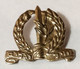 ISRAEL - Small Old Military IDF ZAHAL Pin Cap Badge Judaica Jew Jews Jewish Judaika Beret Insignia - Autres & Non Classés