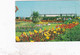 Clacton On Sea Rememberance Gardens  - Used  Postcard - Essex - Stamped - Clacton On Sea