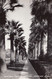 1025  - Real B&W 1930-1950 Photo – Phoenix Arizona Central Avenue – Trees - Little Animation – Excellent Condition - Phönix