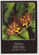 AK 030212 BUTTERFLY - Hofdame - Papillons