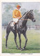 11 Foray, P Beasley  - Racehorses & Jockeys 1938 - Original Wills Cigarette Card - L Size 6x8cm - Wills