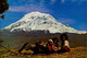 ECUADOR , T.P. CIRCULADA , EL CHIMBORAZO , NIÑOS INDÍGENAS - Equateur