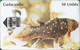 Comoros - S.N.P.T. - Coelacanthe Fish, Red Small Cn., Sloping 'M', SC7, 50Units, Used - Comores