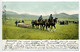 CPA Militaria Suisse Valais St Saint MAURICE - Manöverbild, Manœuvres Militaires Chevaux Tirant Une Barque - Peu Commune - Saint-Maurice