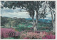 Wittunga Botanic Garden, Blackwood - Andere & Zonder Classificatie