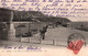 06 / NICE / LE PORT ET LA STATUE DE CHARLES FELIX /  PRECURSEUR LL 217 - Transport (road) - Car, Bus, Tramway